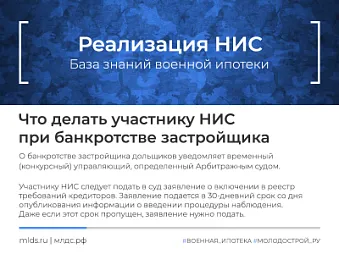 Что делать участнику НИС при банкротстве застройщика. Изображение