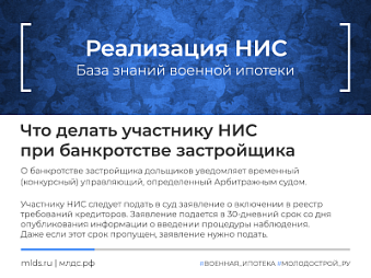 Что делать участнику НИС при банкротстве застройщика. Изображение